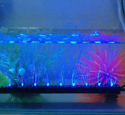 LED水底燈使用時(shí)，需要注意哪些事項(xiàng)(圖1)